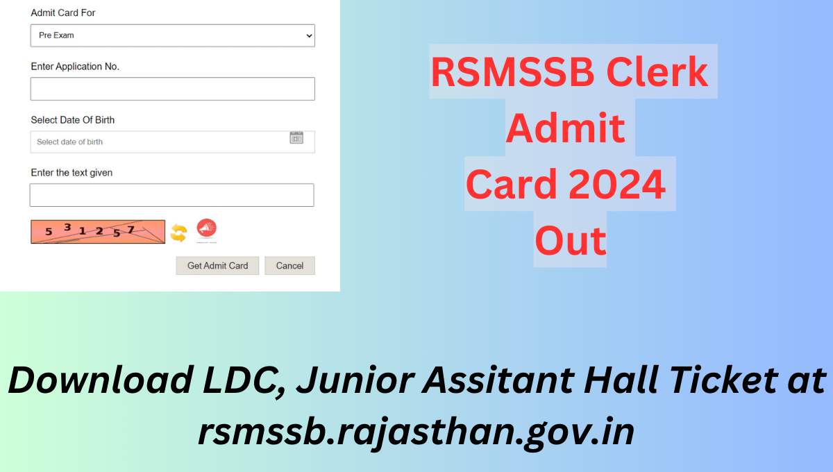 RSMSSB Clerk Admit Card 2024