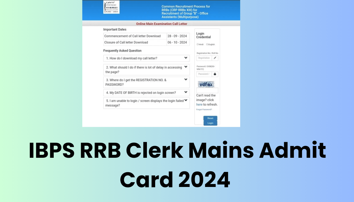 IBPS RRB Clerk Mains Admit Card 2024